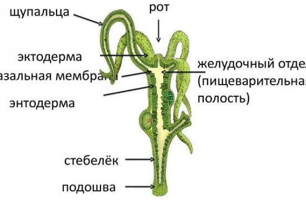 Ссылка на мега маркет даркнет